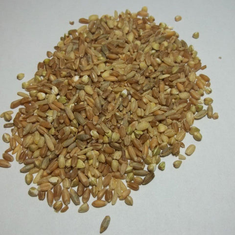 Seven Grain Blend