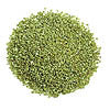 Spinach Couscous