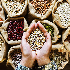 Purcell Mountain Farms