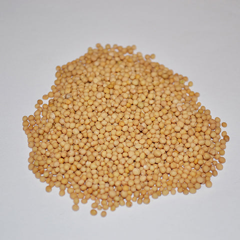 Mustard Seeds, Whole, Yellow
