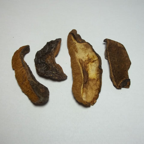 European Boletes Mushrooms 2oz