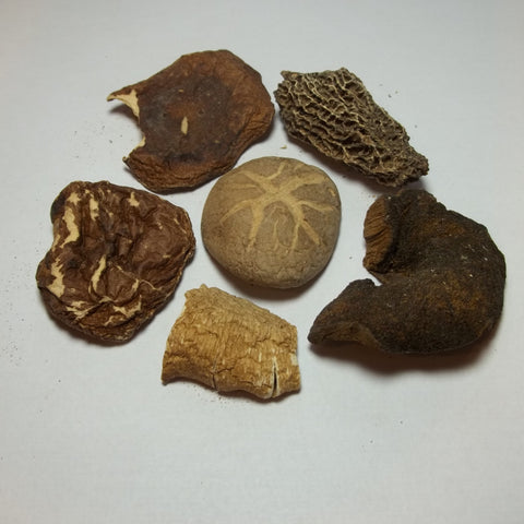 Special Blend Mushrooms 4oz