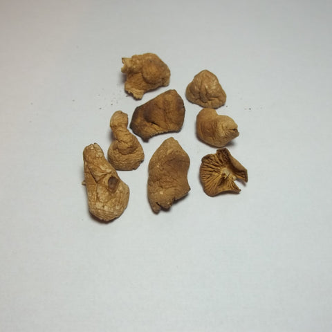 Mousseron Mushrooms 2oz