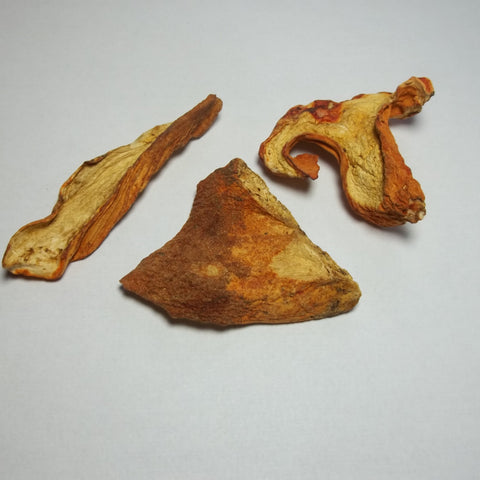 Lobster Mushrooms 2oz