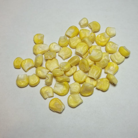 Freeze Dried Sweet Corn