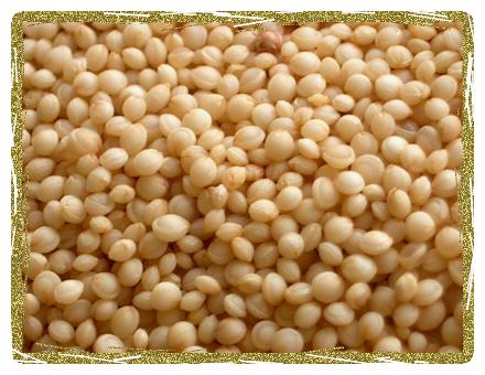 Organic Amaranth Grain
