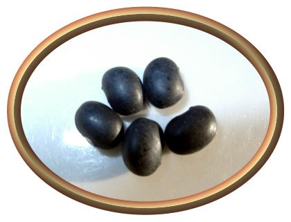 Organic Black Turtle Beans