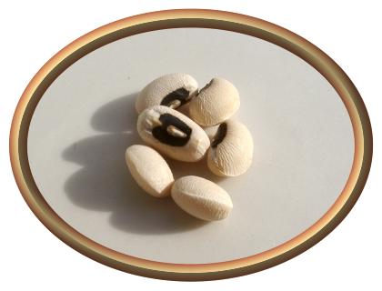 Black-eyed Peas (Beans)