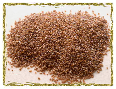 Ivory Maskal Teff Grain