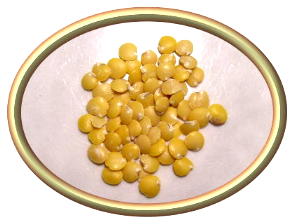 Canary Lentils