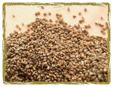 Celery Seeds