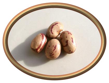 Organic Cranberry Beans