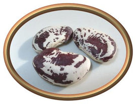 Christmas Lima Beans