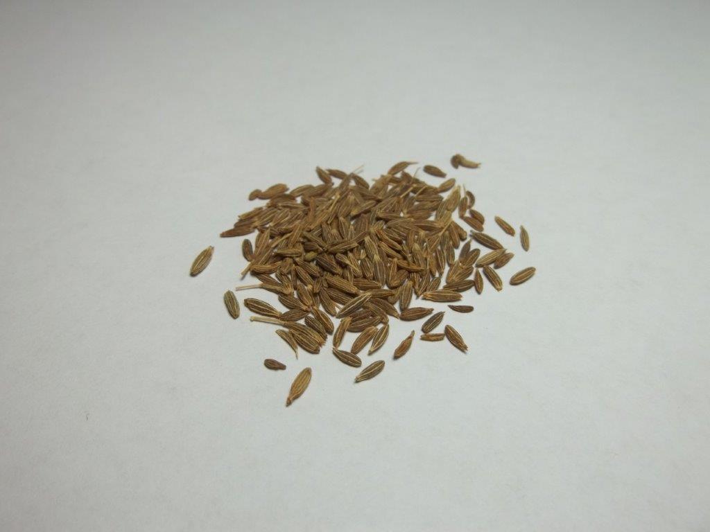 Whole Cumin Seed