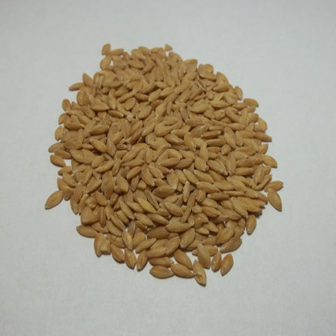 Organic Einkorn Grain