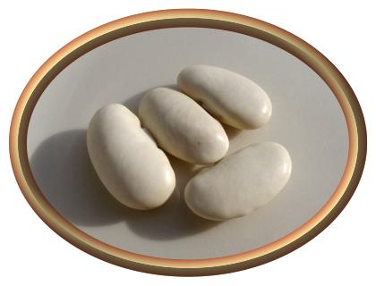 White Emergo Beans