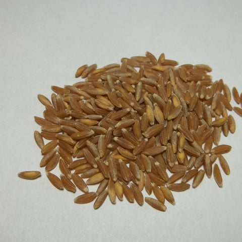 Organic Emmer Grain
