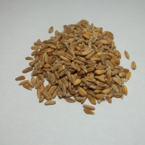 Organic Farro Grain
