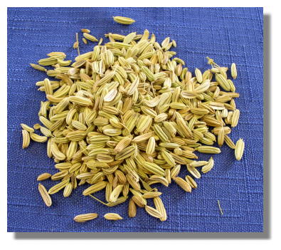 Organic Fennel Seed (whole)