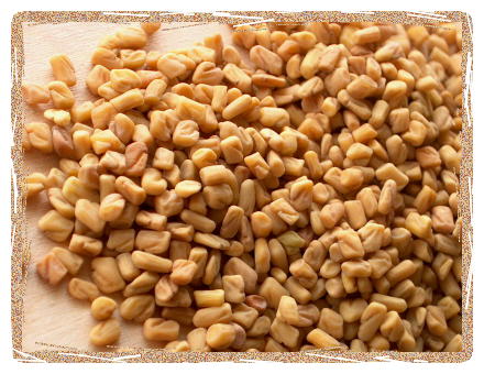 Organic Fenugreek Seeds