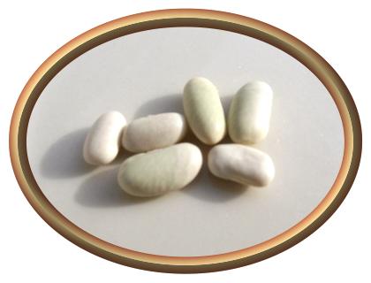 Organic Flageolet Beans