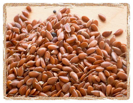 Organic Flax Seeds