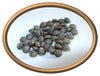 French Green Lentils