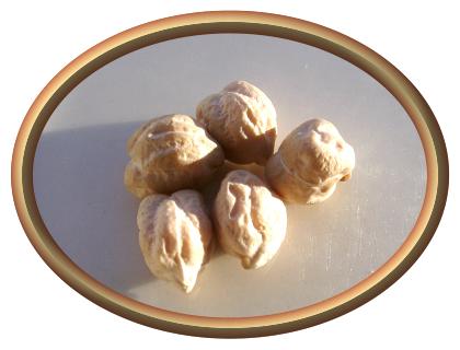 Organic Garbanzo Beans (Chick Peas)