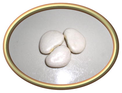 Organic Giant White Beans