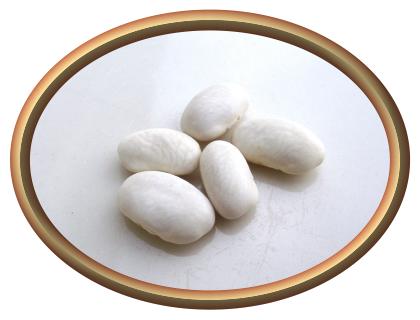 Great Northern Beans