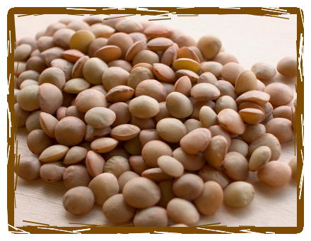 Petite Estoria Lentils