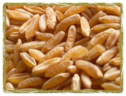 Organic Kamut® Grain