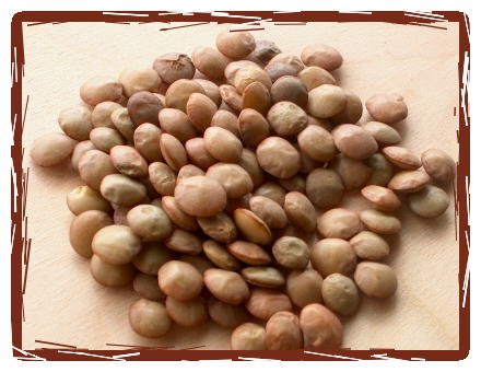 Lenticchie Verdi Lentils