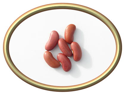 Light Red Kidney Beans
