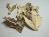 Organic Maitake Mushrooms (Hen of the Woods Mushrooms)