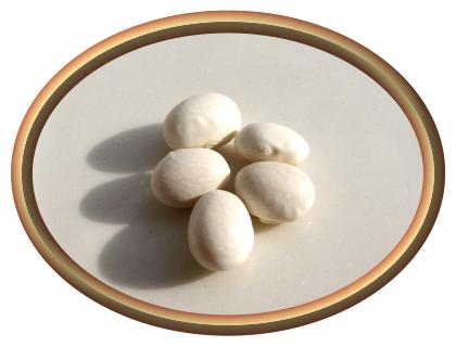 White Marble Beans