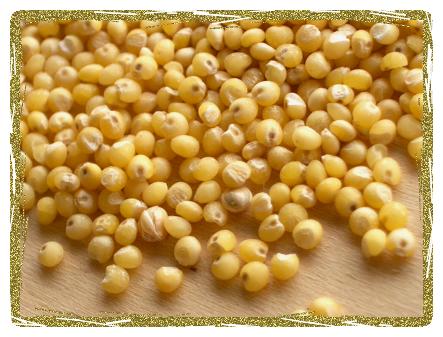 Organic Millet Grain