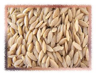 Organic Whole Wheat Orzo