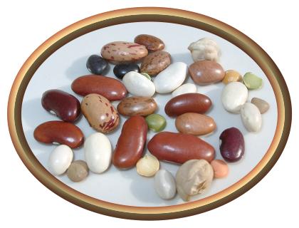 Paris Bistro Bean Soup Mix