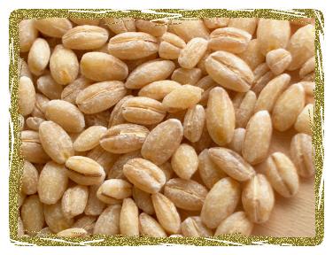 Pearled Barley