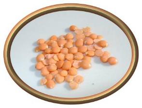 Petite Crimson Lentils