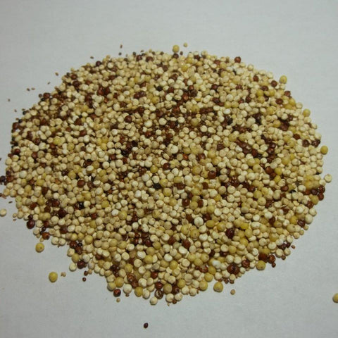 Quinoa & Ancient Grain Blend