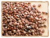 Organic Radish Seeds