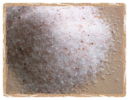 Real Salt Shaker (9 oz)