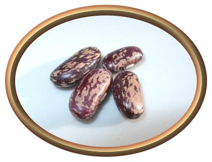 Spanish Tolosna Beans