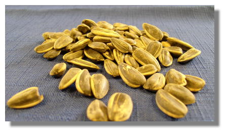 Sunflower Seeds  in Shell  (roasted & salted)