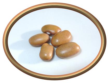 Swedish Brown Beans