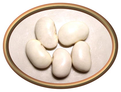 Runner Cannellini Beans