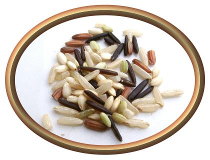 Country Wild Rice - Gourmet Blend