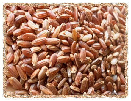 FRENCH CAMARGUE RICE